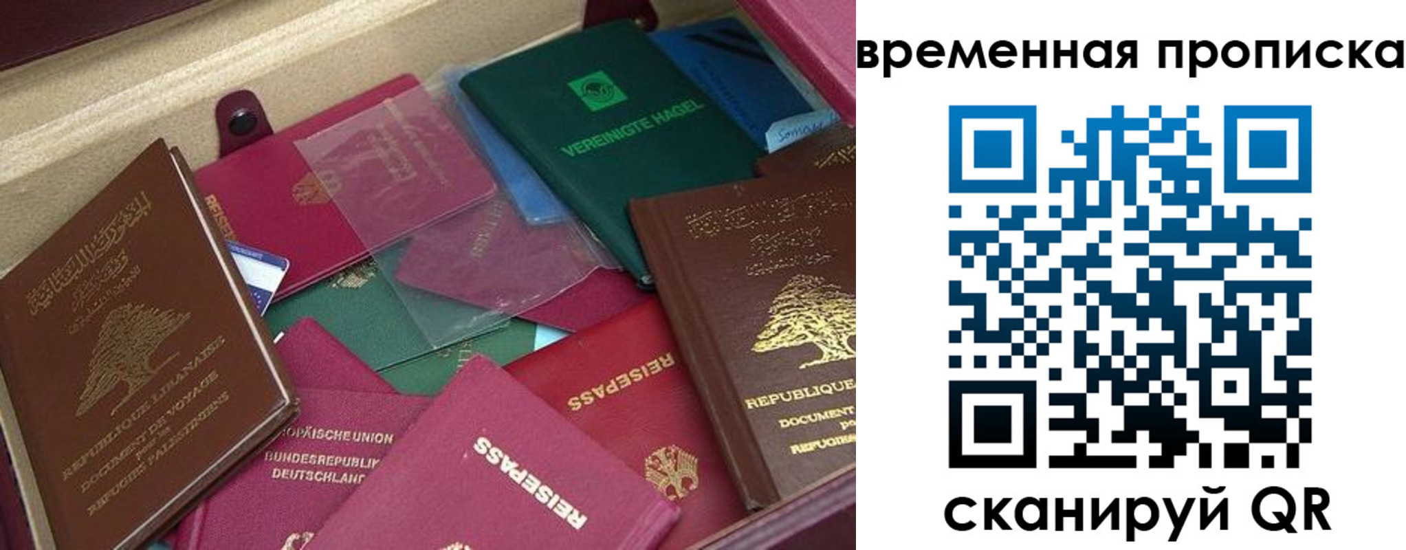 прописка в Шатуре